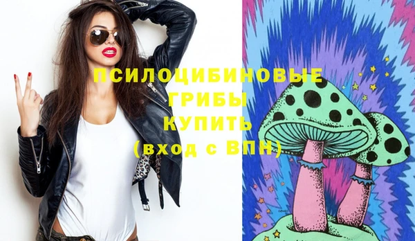 скорость Новозыбков