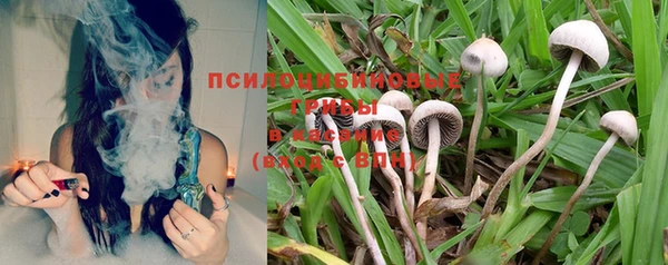 спайс Беломорск