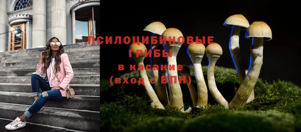 Альфа ПВП Белоозёрский